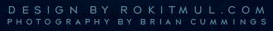 rokitmul